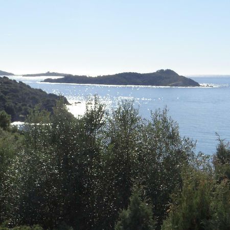Appartement T2 50M² Vue Mer Presqu'Il De Giens. Rc Ιέρ Εξωτερικό φωτογραφία