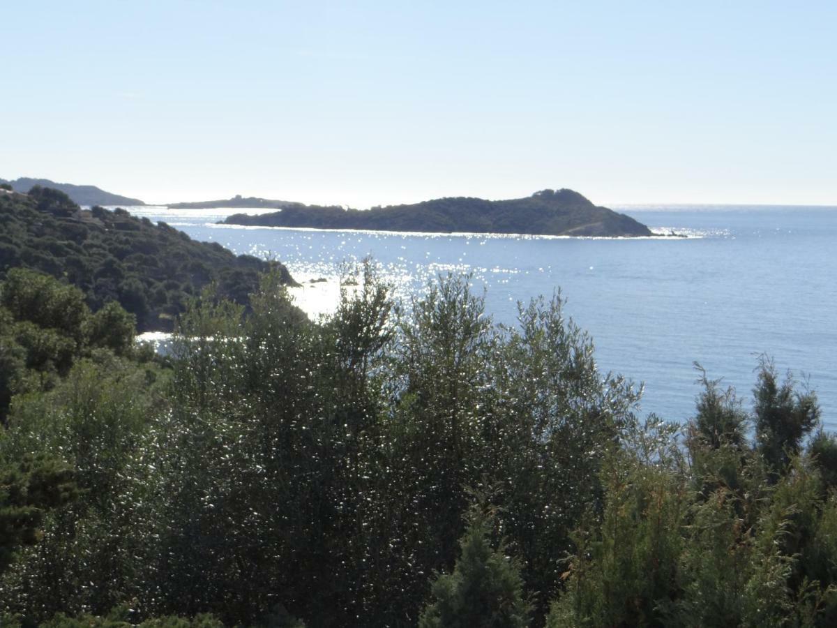 Appartement T2 50M² Vue Mer Presqu'Il De Giens. Rc Ιέρ Εξωτερικό φωτογραφία